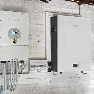 Sunark Baterias Solares Powerwall 5Kwh 10Kwh 48V 100Ah 200Ah Bateria de íon de lítio solar montada na parede