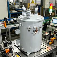 Transformateur de distribution monophasé 20 kVA monté sur poteau, transformateur de puissance immergé dans l'huile, bobinage en cuivre pour utilisation extérieure