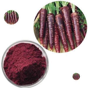 Poudre de carottes de haute pureté, nouvelle production de Richtek, poudre de fibres de carottes, pigment, poudre de carottes biologique, prix d'usine - Product Image 2