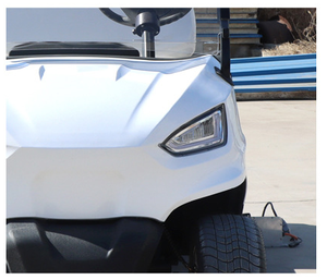 Buggy <span class=keywords><strong>de</strong></span> caza eléctrico arcoíris con estilo tendencia <span class=keywords><strong>de</strong></span> mercado <span class=keywords><strong>de</strong></span> mega cantidad por lote <span class=keywords><strong>de</strong></span> nuevo diseño 2025 a la venta - Product Image 6