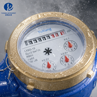 2025 New Style Industrial Grade Mechanical Water Meter Dry Type Iron Shell Copper-faced Copper-joint Water Meter