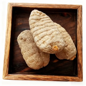 Jilin de qualité supérieure authentique frais Gastrodia Elata rhizomes séchés disponibles pour la vente en gros - Product Image 6