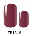 ZB1318