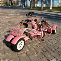 Vélo de mariage à propulsion humaine, pour excursions, fêtes, tourisme, avec options électriques et à pédales, pour entreprises de cyclotourisme