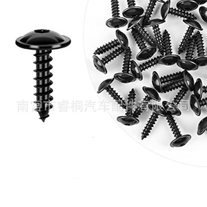 สกรูหัว Torx ยี่ห้อ Shuangxuan รุ่น N90892001 สำหรับรถยนต์ Volkswagen Passat B5 B6 B7 CC Golf แผ่นกันโคลน - Product Image 1