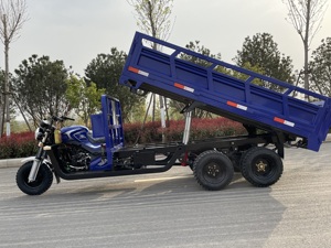 350CC รถเทรลเลอร์รถมอเตอร์ไซค์<span class=keywords><strong>สามล้อ</strong></span>แบบ2<span class=keywords><strong>เพลา</strong></span>ล้อหลังคู่<span class=keywords><strong>เครื่อง</strong></span>ยนต์รถขนดิน9ล้อสำหรับใช้ในรถตัก - Product Image 4