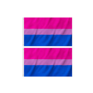 للبيع بالجملة علم مخصص 3x5ft ثنائي الجنس علم omnisexex Lgbt مثلي الجنس Pansexual ثنائي قوس قزح فخر العلم - Product Image 2