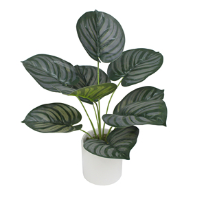 MINI plantes de TABLE pour la décoration, nouveau STYLE - Product Image 6