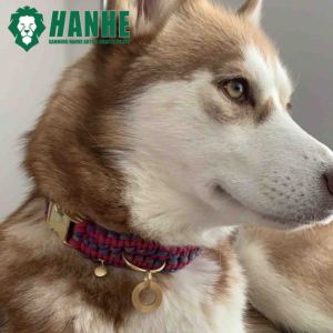 Laisse de chien en paracorde avec logo personnalisé moderne et double tressée en cuir nylon avec boucle en métal solide pouvant être entraînée pour chiens et chats - Product Image 5