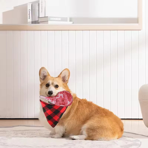 Sinh thái thân thiện sang trọng mô phỏng bít tết squeaking đồ chơi con chó Oxford vải bông nhai đồ chơi tương tác - Product Image 6