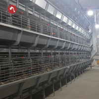 Cage à poulettes de type H Silver Star pour élevage avicole, poussins verticaux avec système de collecte de fumier, Q235 galvanisé à chaud