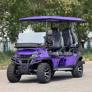 Bus touristique et voiture 4x4, voiturette de golf électrique de luxe 6 places - Product Image 1