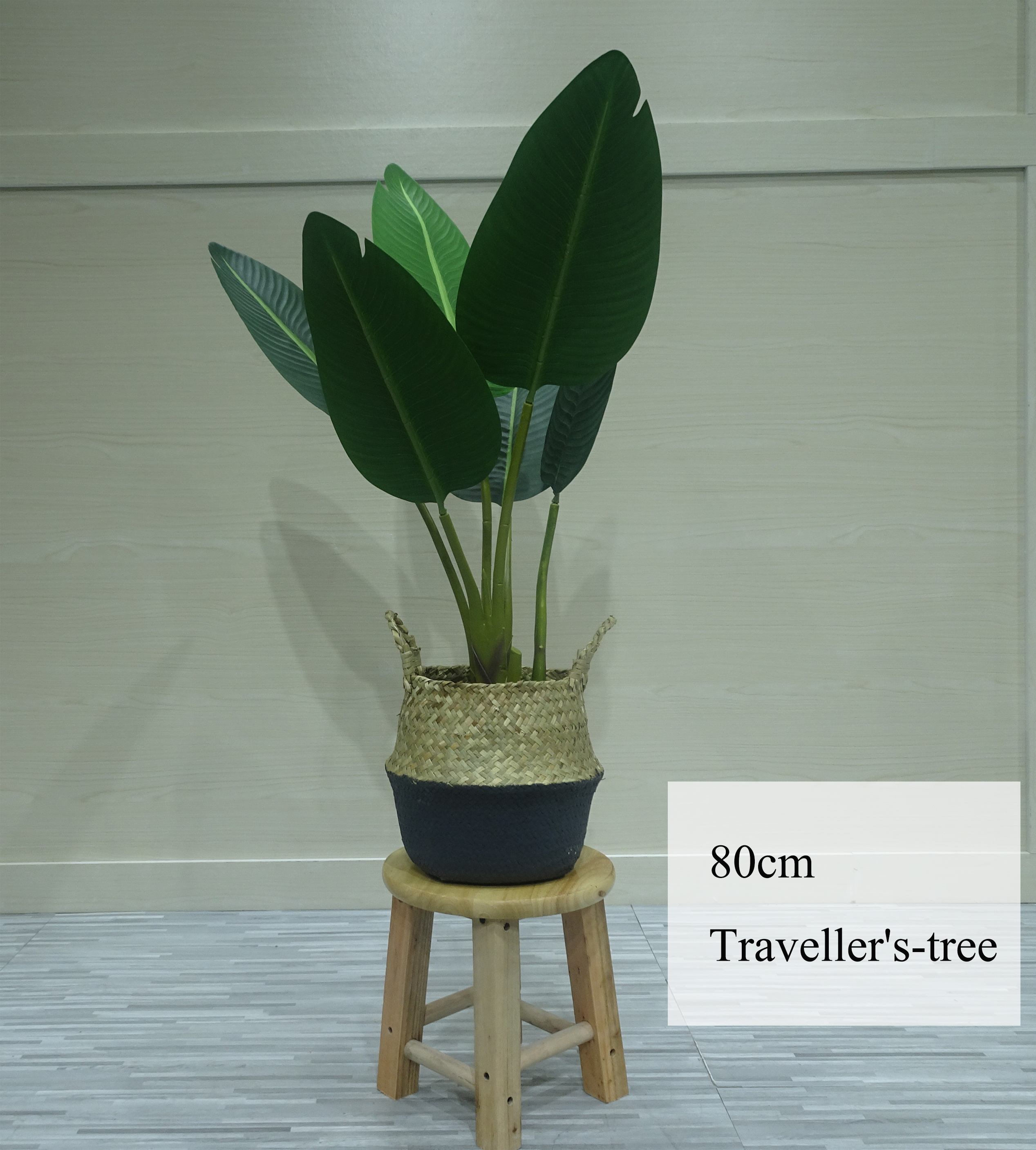 80ซม./ต้นกล้วย-เขียว