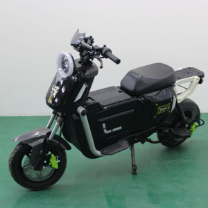 Motocicleta Todoterreno de 3 Velocidades, 16*3.0 Pulgadas, 48v 60ah 1500w, Freno de Disco Hidráulico, 61-80km/h - Product Image 1