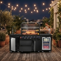 Ensemble de cuisine extérieure personnalisé avec barbecue, évier et réfrigérateur pour les fêtes de famille