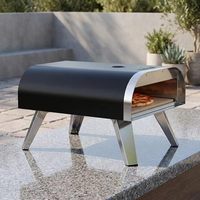 Four à pizza au gaz portable pour l'extérieur, en acier inoxydable, 12 pouces, pour le camping et le jardin
