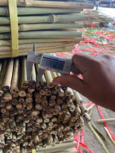 Varillas de Bambú Natural Tonkin de Diámetro Pequeño para Soporte de Plantas, Estacas para Viveros y Jardines, Venta al por Mayor Directa de Fábrica en Vietnam - Product Image 4