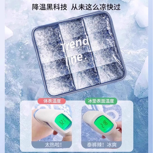 Trendline Ice <b>Pad</b> Seat Cool Mat Pe Material Summer <b>Cooling</b> For Office Car Sofa - Product Image 1
