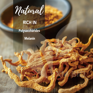 Polvo de extracto de Cordyceps puro personalizado para energía Natural y vitalidad Polvo de hongo Cordyceps superalimento a base de plantas - Product Image 4