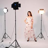 Kit d'éclairage vidéo LED VILTROX VL-S192T Panneau d'éclairage de studio photo pour appareil photo CRI 95 192PCS + Support d'éclairage pour appareil photo reflex numérique de studio