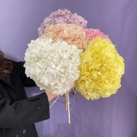 Hydrangea à grande feuille unique préservée, best-seller, éternelle, hortensia, hydrangea, boule brodée pour décoration de mariage