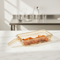 Barquettes en plastique transparentes isolées résistantes aux hautes températures, compatibles micro-ondes, avec poignée, pour poulet frit