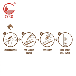 Kit <span class=keywords><strong>de</strong></span> <span class=keywords><strong>test</strong></span> rapide d'anticorps contre l'Anaplasma équin, dépistage <span class=keywords><strong>de</strong></span> la fièvre <span class=keywords><strong>de</strong></span> l'anaplasmosis transmise par les tiques chez le cheval, fournisseur OEM ISO13485, 1 ou 25 tests - Product Image 3