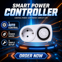 Interruptor de Tiempo Programable Mecánico de 24H y 3680W