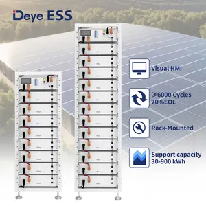 Deye ESS NEW 2024 BOS-G Best Lifepo4 100Ah Lithium Ion Home Battery Energy Storage System Boxes