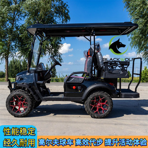 Voiturette de golf électrique 4 roues en alliage d'aluminium, design moderne, durable, pour complexe hôtelier, parc, campus, aéroport - Product Image 4