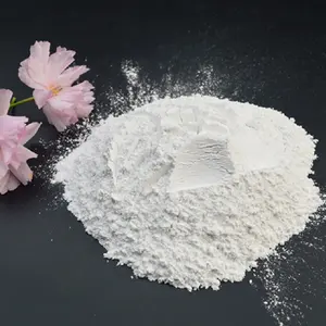 alumina / alumina ceramic / al2o3 powder