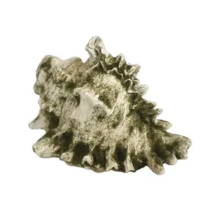 Conchas de mar de resina <span class=keywords><strong>blanca</strong></span> Natural <span class=keywords><strong>grande</strong></span> Vieiras de <span class=keywords><strong>almeja</strong></span> naturales a granel modernas para decoración de pared para escultura de decoración del hogar - Product Image 1