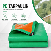 Fabricant de bâches en PE, bâche en polyéthylène personnalisée, couverture imperméable avec œillets pour l'agriculture et l'industrie