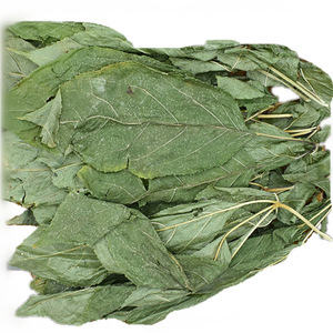 Ren Shen Ye <strong>Ginseng</strong> Leaf Hotsale Fresh Dried Korean <strong>Ginseng</strong> Leaves for Herbal Tea - Product Image 5