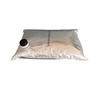 Coffee Shope Supplies CA USA 3L Cold Brew Coffee To Go Box Sac à vin dans la boîte Distributeur de boîte à café jetable 5L avec vanne de robinet