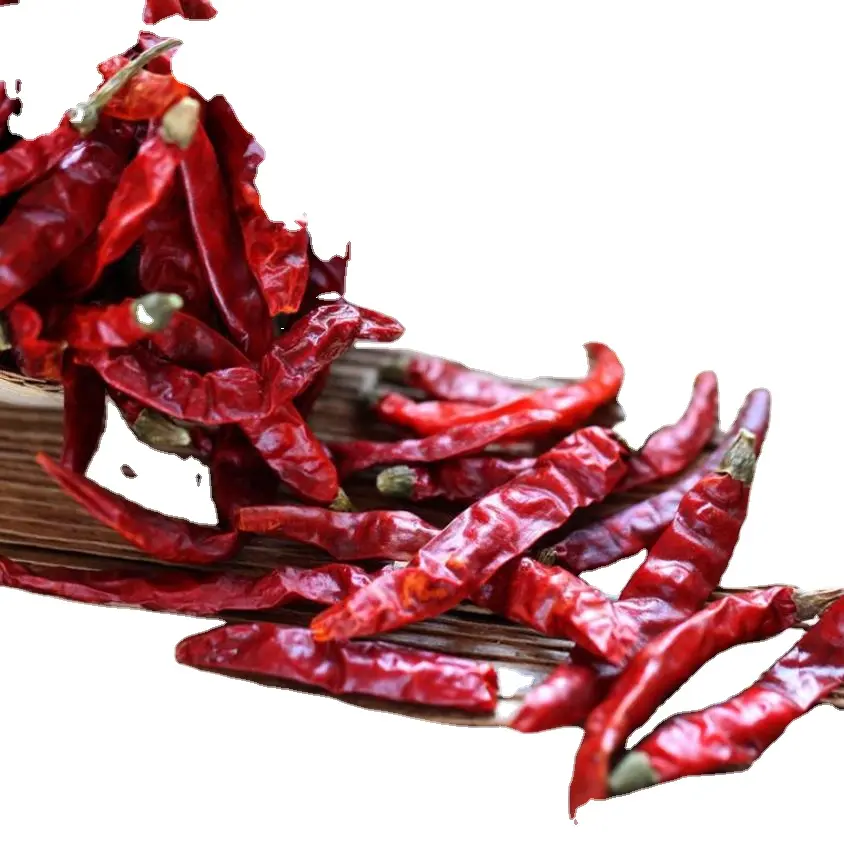 Food Spice Decor Hete Smaken Gedroogd Rood Nieuwe Hele Capsicum Annuum Vruchten Te Koop