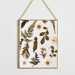 <span class=keywords><strong>Cadre</strong></span> <span class=keywords><strong>photo</strong></span> suspendu en <span class=keywords><strong>laiton</strong></span> à double <span class=keywords><strong>verre</strong></span> de haute qualité de 8x10 pouces pour décoration murale de fleurs pressées - Product Image 1