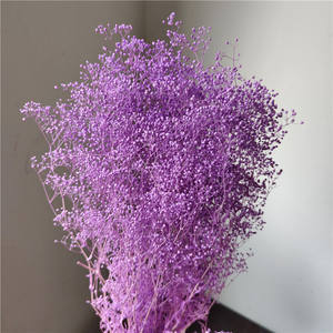 Nouvelle Mini Guirlande <span class=keywords><strong>Ciel</strong></span> Étoilé 2026, avec Poteau Dissimulé, Fleurs Blanches et Roses Fraîchement Conservées, pour Mariage, Fête des Mères, Noël - Product Image 5