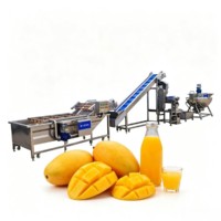 Offre d'usine : Ligne complète de production de jus de citron NFC et de jus d'orange, machines de traitement du jus