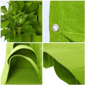 EVOLOVE <span class=keywords><strong>jardin</strong></span> extérieur/intérieur jardinière verticale artificielle <span class=keywords><strong>jardin</strong></span> vertical - Product Image 5