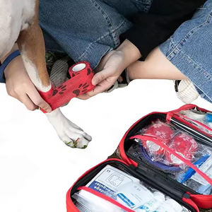 Dierenarts Hond EHBO-<span class=keywords><strong>Kit</strong></span> Benodigdheden Huisdier Kat & Hond Reizen EHBO-<span class=keywords><strong>Kit</strong></span> Draagbare Huisdier EHBO-Kits Groothandel - Product Image 6