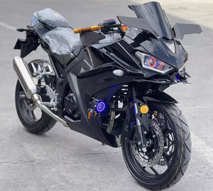 ราคาโรงงานโดยตรง Ninja H2 Hypersport 400cc รถสปอร์ตไบค์พร้อมเครื่องยนต์ Core Power ระบบเบรกแบบ Launch Control จัดส่งฟรี - Product Image 3