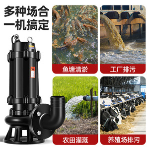 Bomba Sumergible Eléctrica para Drenaje y Control de Inundaciones de Gran Caudal, Multiusos Agrícolas, Antiobstrucción, Modelo LIANHENONGMU - Product Image 5