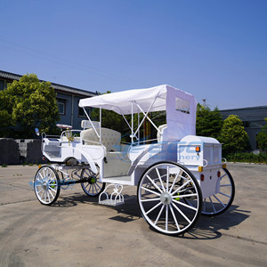 Chariot Électrique de Tourisme de Haute Qualité à 4 Roues & Calèche Électrique Tirée par des Chevaux - Product Image 2