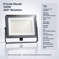 Projecteur LED 100W Extérieur IP65 Étanche 10000LM 6500K Haute Puissance Éclairage de Stade Garantie 3 Ans CE