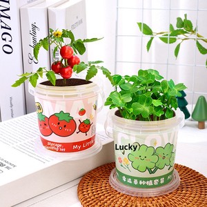 Kit de culture miniature pour enfants : Tournesol, Fraise, Légumes – Idéal pour l'observation de la croissance des plantes et l'éveil à la verdure - Product Image 3