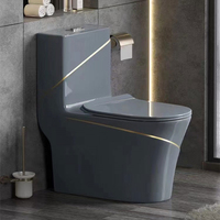 Siège de toilette couleur monobloc populaire salle de bain en céramique placard à eau ensemble de toilette couleur or