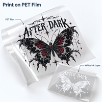 Imprimante Direct to Film 60 cm pour transferts thermiques sur film PET avec encre CMYK et blanche