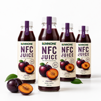Jus de prune fruité pétillant en bouteille mini 250ml NFC OEM Marque privée Échantillon gratuit Vente en gros Faible MOQ