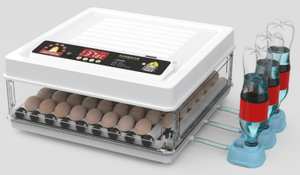 Giá Máy Ấp Trứng/Ấp Trứng Tự Động Công Suất Nhỏ Thiết Kế Mới Công Suất Lớn + 86-15853472359 - Product Image 5